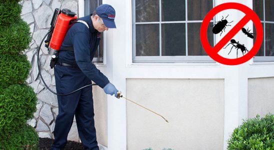 Yamanlar Bit İlaçlama böcek ilaçlama ve haşere kontrolü — ilaclama-tr.com